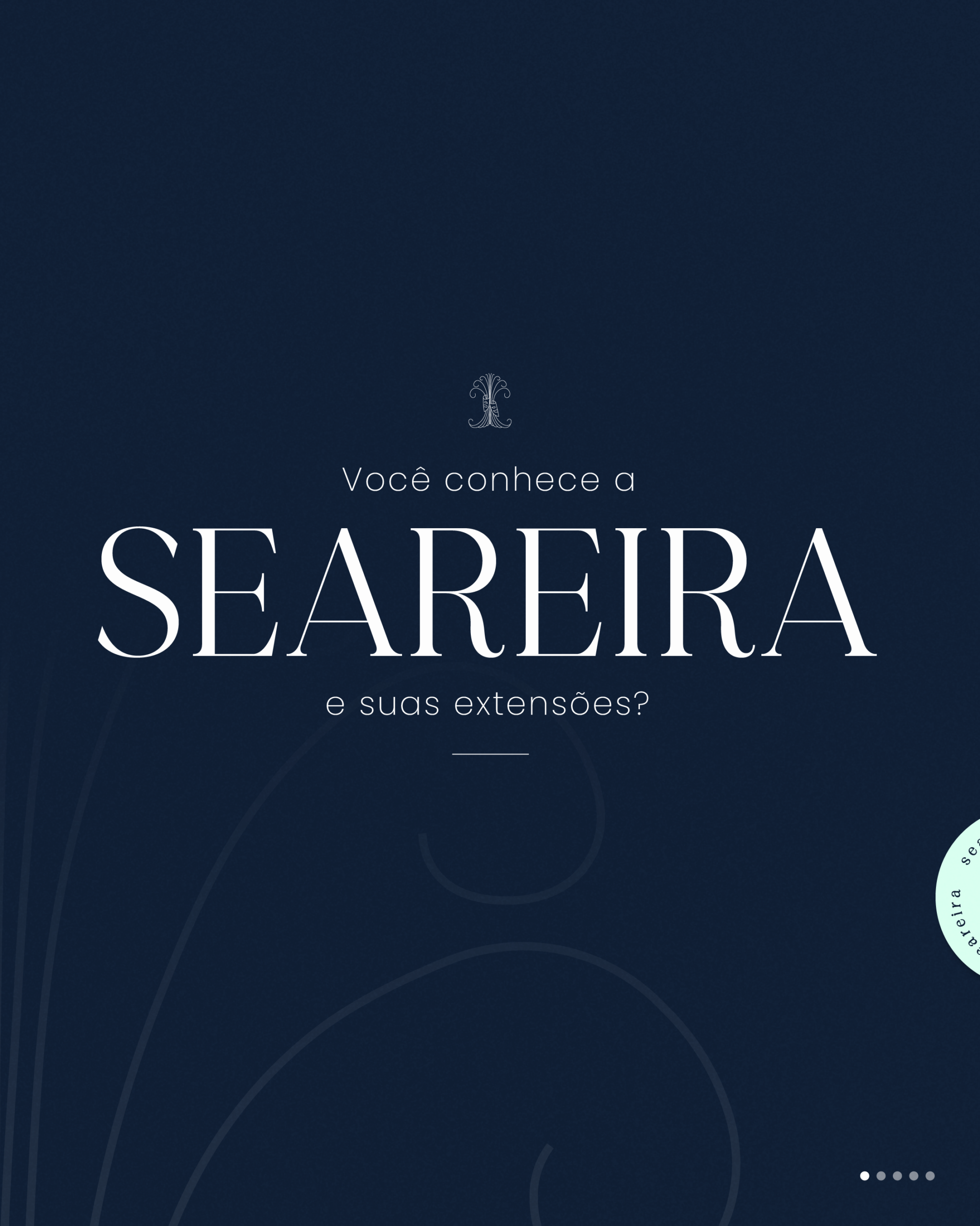 seareira-branding_presentation-01